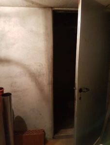 Selche im Keller