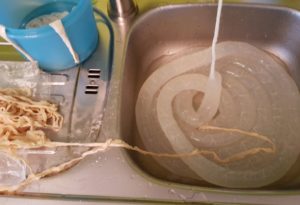 Schweinedarm waschen, Wurst