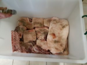 Fleisch pökeln